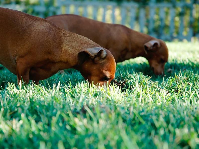 sudoku skill improvement screenshot 5